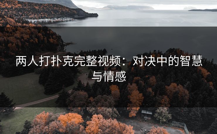 两人打扑克完整视频：对决中的智慧与情感